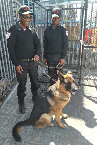 Usizo - Security Officer Services